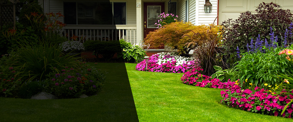 Dewitt Landscapers