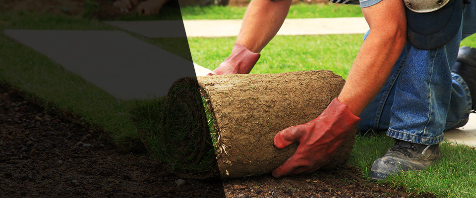 Dewitt Landscapers